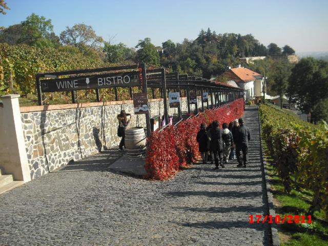 1. Katka - Life in the Prague city wineyards